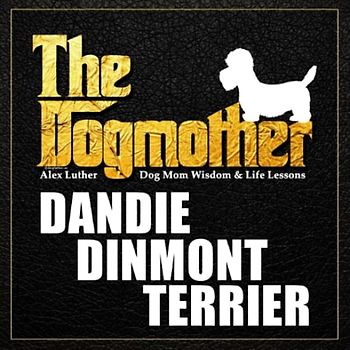 The Dogmother: Dandie Dinmont Terrier: (Dog Mom Wisdom & Life Lessons)