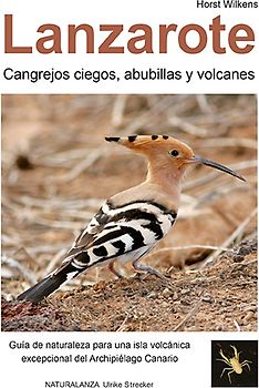 Lanzarote - Cangrejos ciegos, abubillas y volcanes