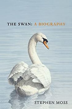 The Swan: A Biography – The must-have gift for bird lovers this Christmas