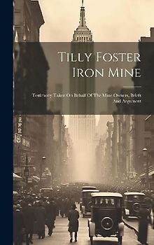 Tilly Foster Iron Mine: Testimony Taken On Behalf Of The Mine Owners, Briefs And Argument