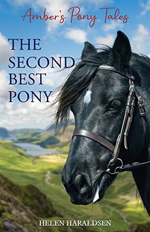The Second Best Pony (Amber's Pony Tales, Band 2)