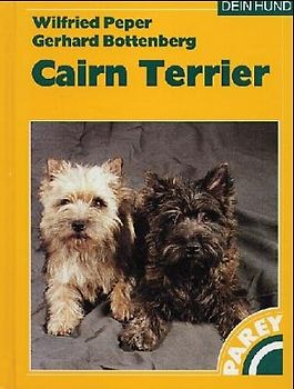 Cairn Terrier