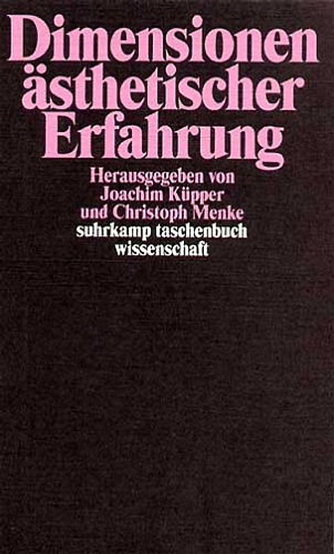 Dimensionen ästhetischer Erfahrung