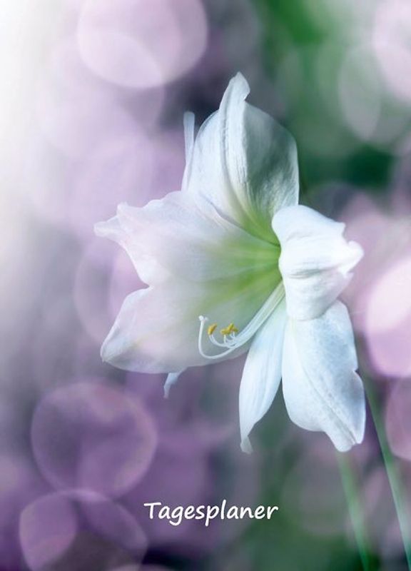 Tagesplaner undatiert A5 für Gestresste