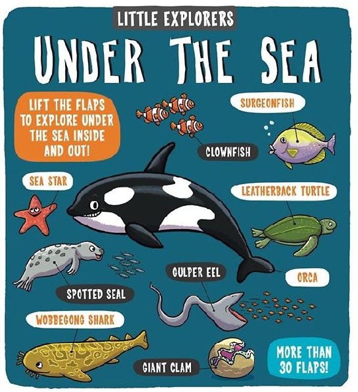 Little Explorers: Under the Sea