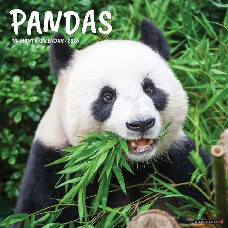 Pandas 12 X 12 Wall Calendar