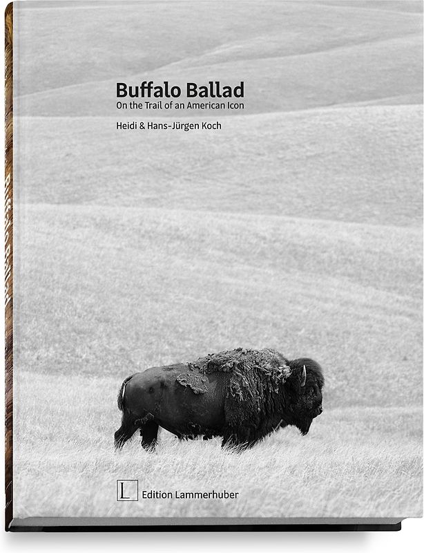 Buffalo Ballad