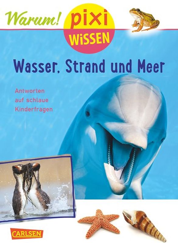 Pixi Wissen 95: Wasser, Strand und Meer (mit Fotos)