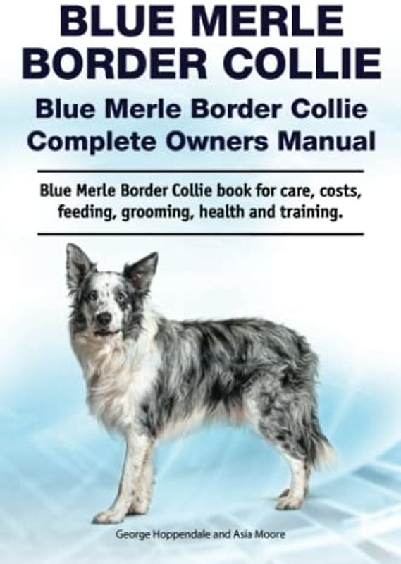 Blue Merle Border Collie. Blue Merle Border Collie Complete Owners Manual. Blue Merle Border Collie book for care, costs, feeding, grooming, health and training.