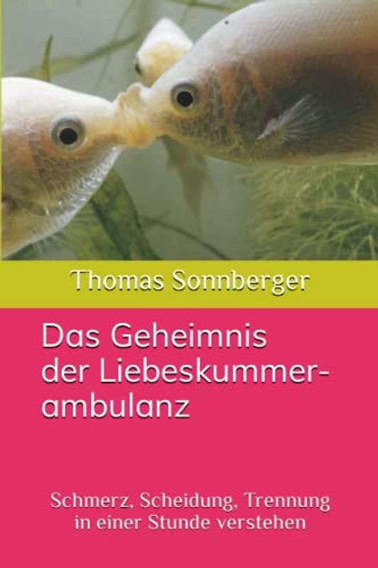 Das Geheimnis der Liebeskummerambulanz: Schmerz, Scheidung, Trennung in einer Stunde verstehen