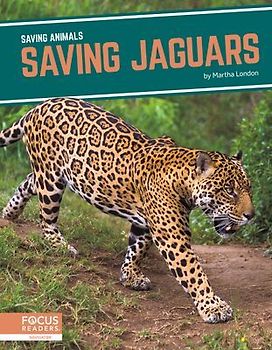 Saving Jaguars