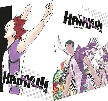 Haikyu!! Sammelbox 4 – Band 31-40 im Schuber