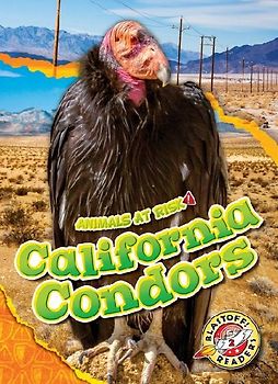 California Condors