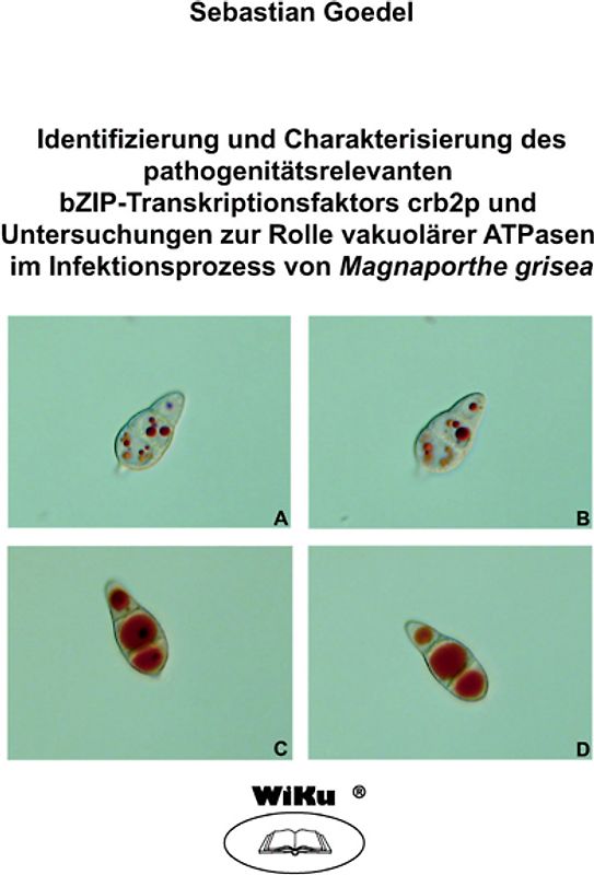 Identifizierung und Charakterisierung des pathogenitätsrelevanten bZIP-Transkriptionsfaktors crb2p und Untersuchungen zur Rolle vakuolärer ATPasen im Infektionsprozess von Magnaporthe grisea