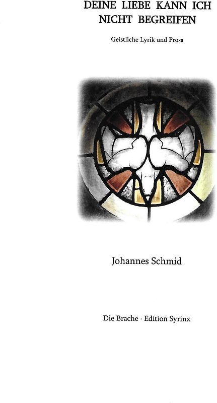Deine Liebe kann ich nicht begreifen
