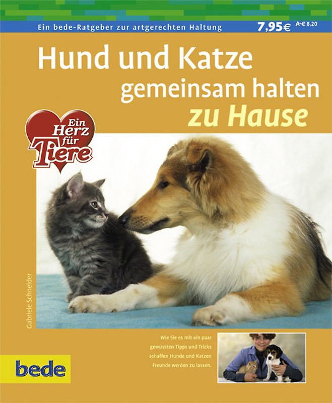 Hund und Katze gemeinsam halten