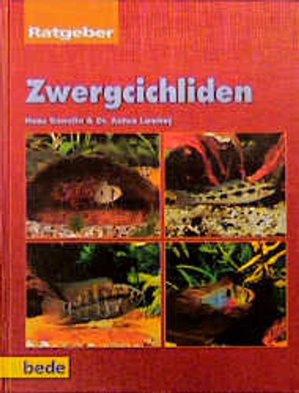 Ratgeber Zwergcichliden