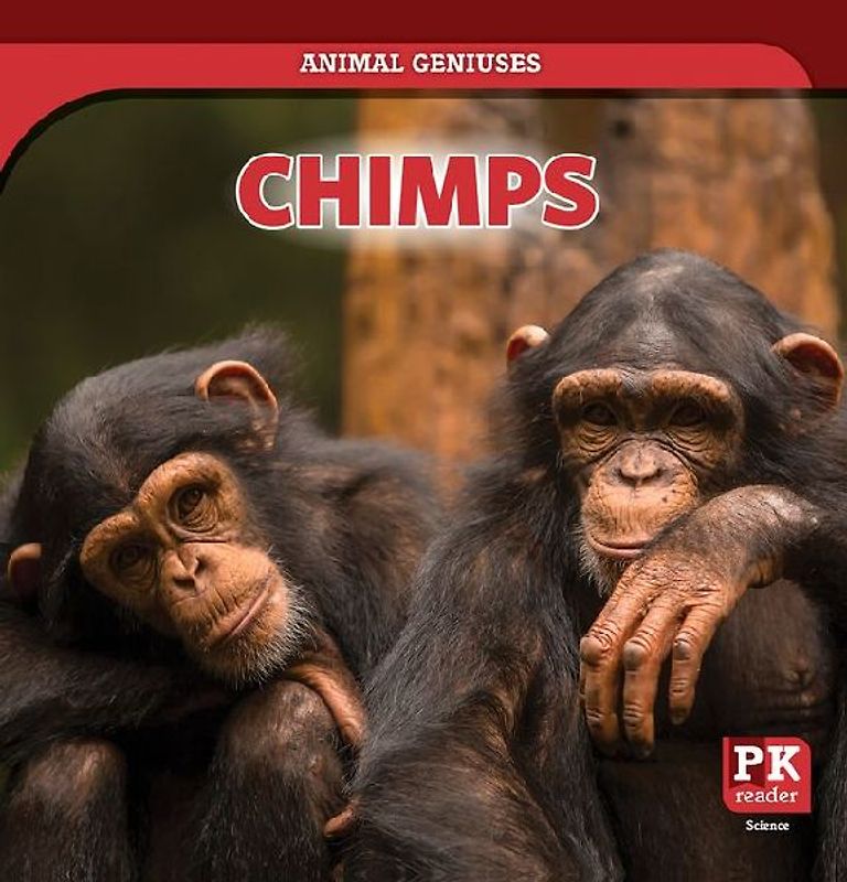 Chimps