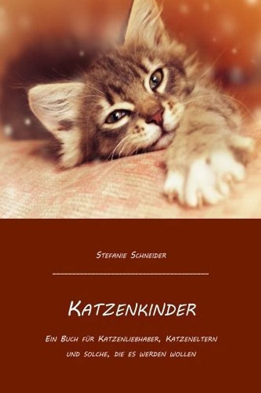 Katzenkinder: Ein Buch für Katzenliebhaber, Katzeneltern und solche, die es werden wollen