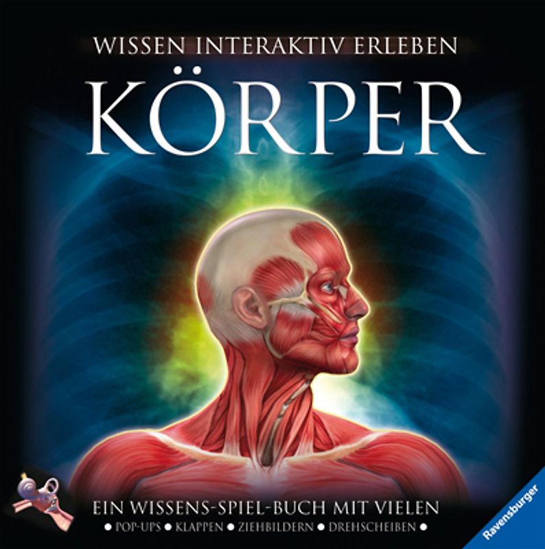 Körper