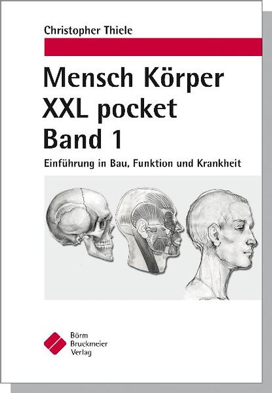 Mensch Körper XXL pocket. Band 1