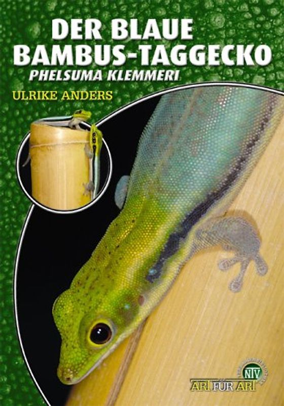Der Blaue Bambus-Taggecko