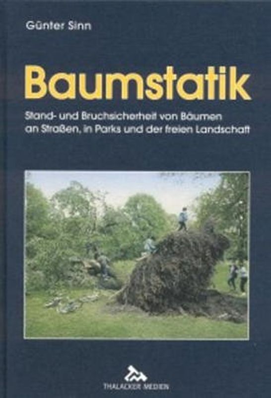 Baumstatik - Stand- und Bruchsicherheit von Bäumen an Straßen, in Parks und der freien Landschaft