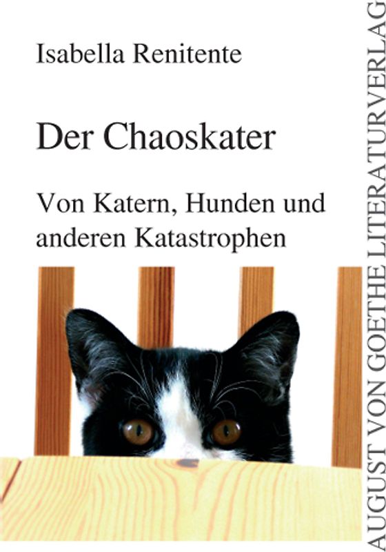Der Chaoskater