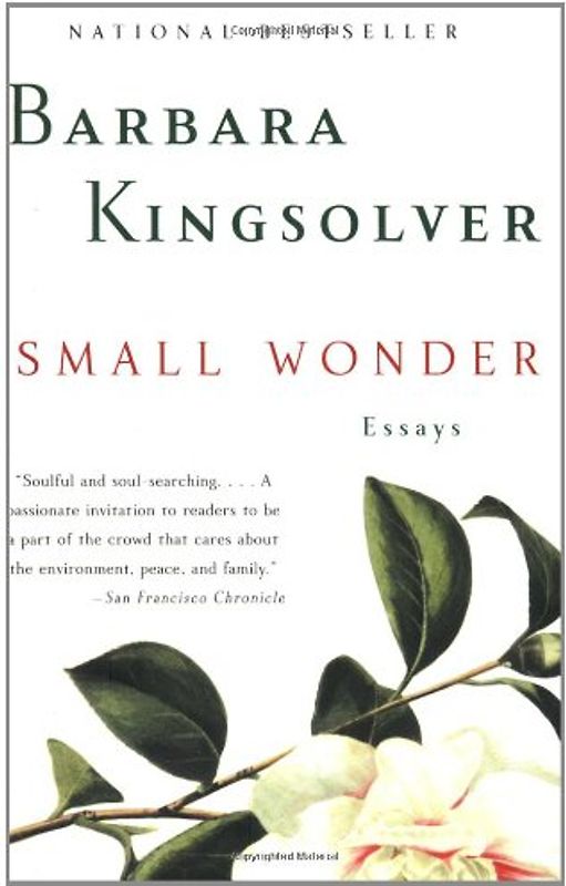 Small Wonder: Essays