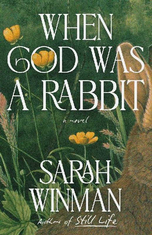 When God Was a Rabbit