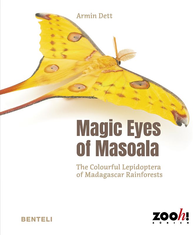 Magic Eyes of Masoala