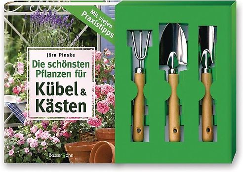 Die schönsten Pflanzen für Kübel und Kästen