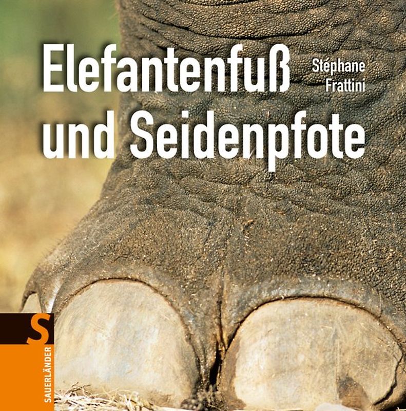 Elefantenfuß und Seidenpfote