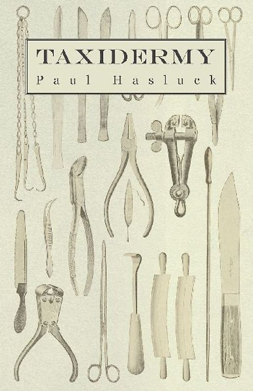 Taxidermy
