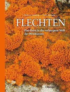 Flechten