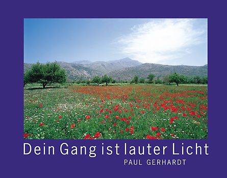 Dein Gang ist lauter Licht