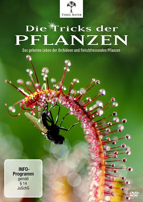 Die Tricks der Pflanzen DVD