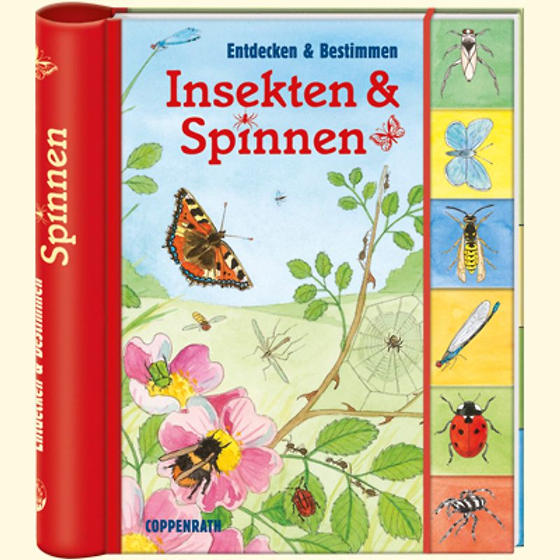 Insekten & Spinnen