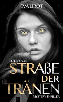 Seelenfalle (Jim Devcon Serie, Band 6)