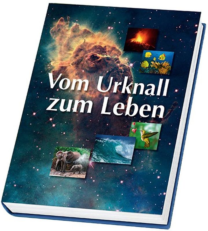 Vom Urknall zum Leben