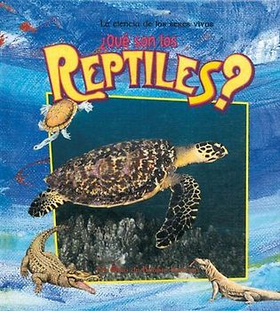 ¿Qué Son Los Reptiles? (What Is a Reptile?)
