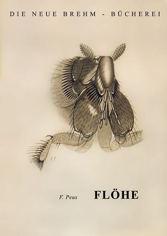 Flöhe