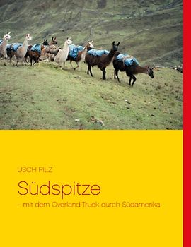 Südspitze
