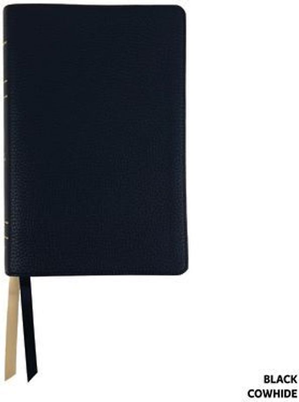 Legacy Standard Bible, Handy Size Paste-Down Black Cowhide Red Letter Indexed