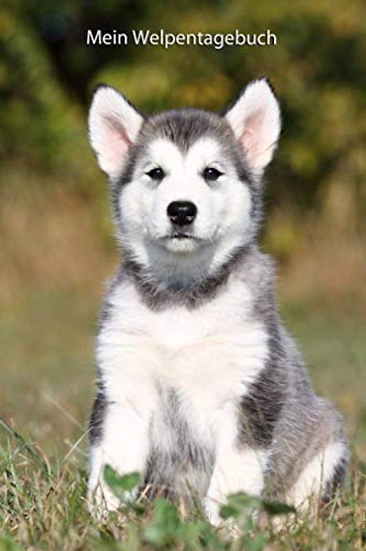 Mein Welpentagebuch: die ersten Monate mit meinem Alaskan Malamute (Alaskan Malamute - alle Bücher: Trainingstagebuch, Krankenakte und Welpentagebuch, Band 7)