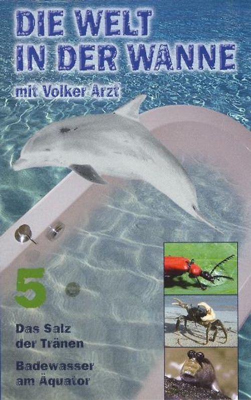 Die Welt. Das Salz der Tränen /Badewasser am Äquator