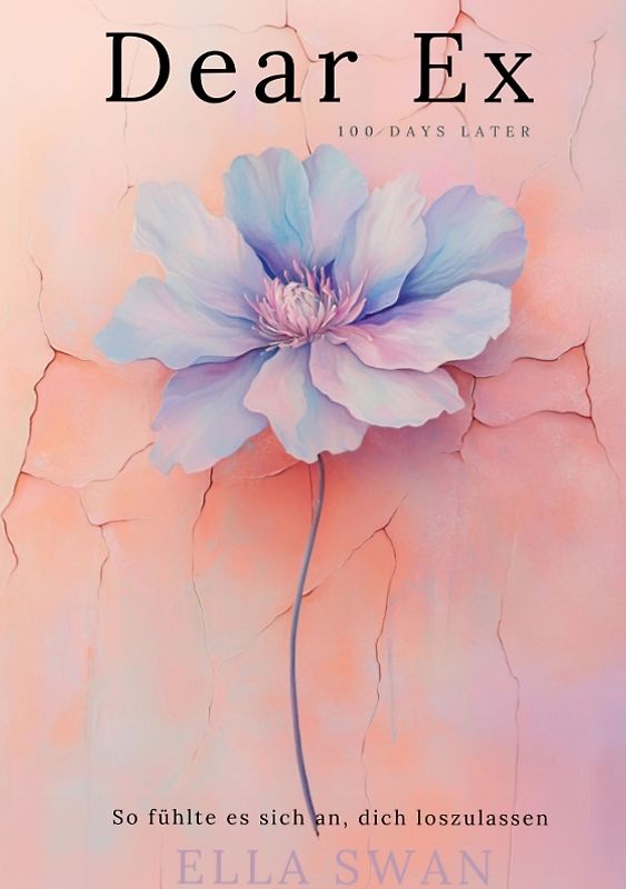 Dear Ex - 100 Days later