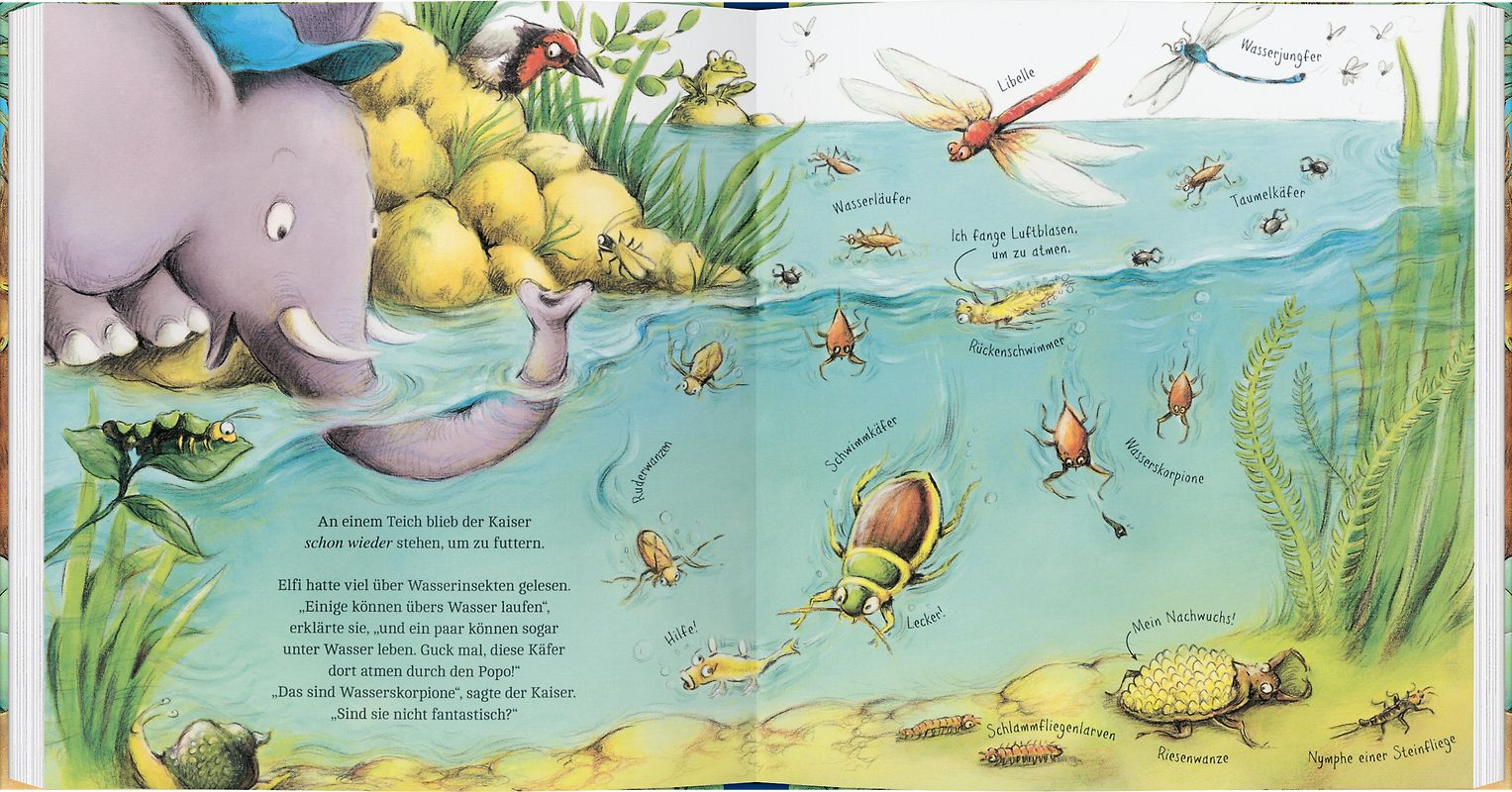 Elefantin Elfi, die Insektenforscherin