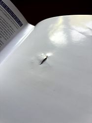 Kundenbild für UFC 3