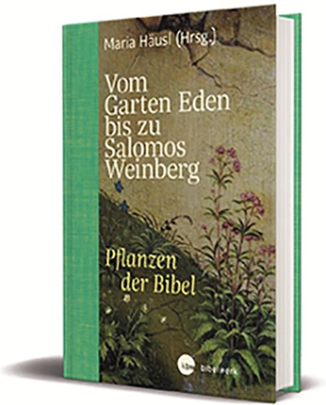 Vom Garten Eden bis zu Salomos Weinberg